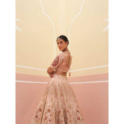 ANGAD SINGH Peach Organza Lehnga with Blouse & Dupatta (Set of 3)