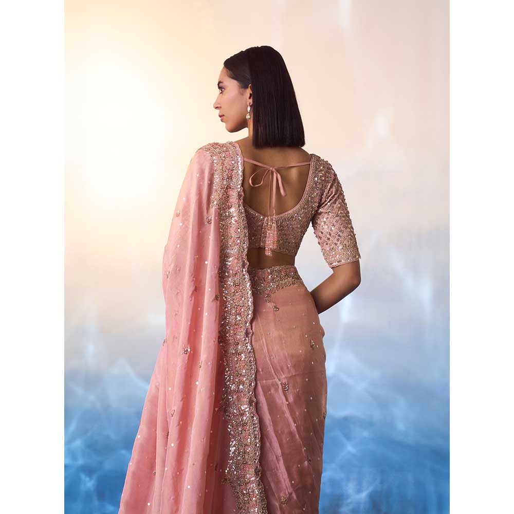 ANGAD SINGH Peach Tissue Saree with Stitched Blouse and Petticoat