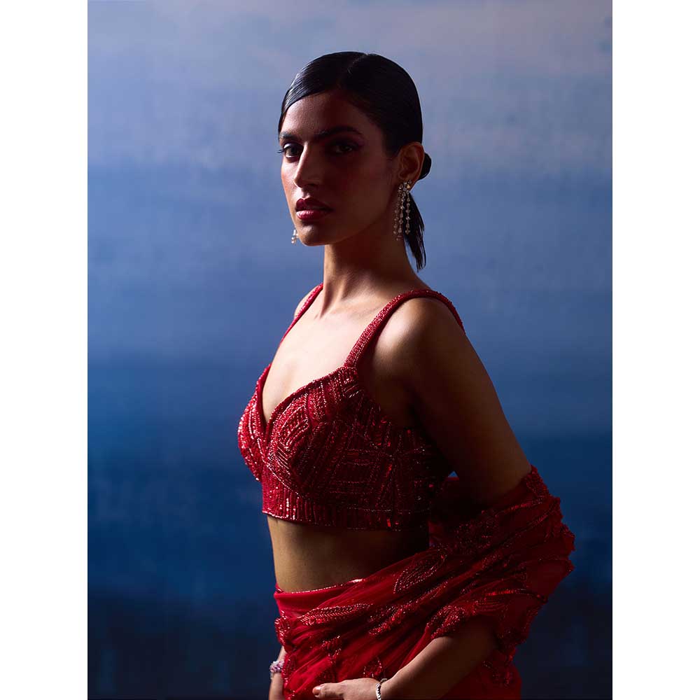 ANGAD SINGH Ruby Red Net Saree with Stitched Blouse and Petticoat