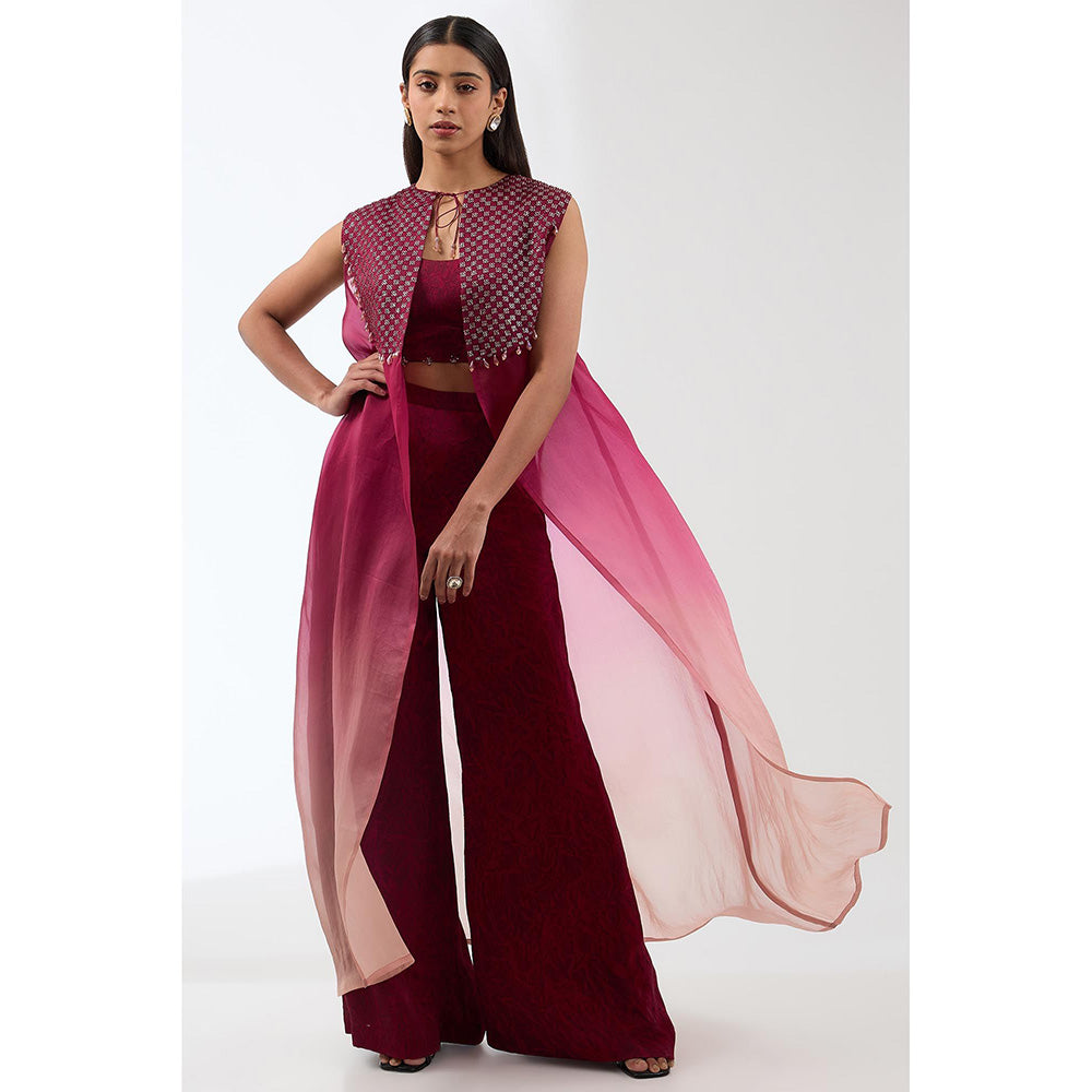 Anjali Kanwar Maroon Printed Bustier with Jacket and Pant (Set of 3)