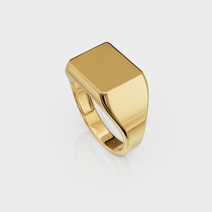 ANUSHKA JAIN JEWELLERY Square Signet Ring