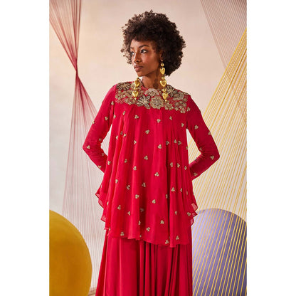 Anu Pellakuru Pink Anika Embroidered Top with Pant (Set of 2)