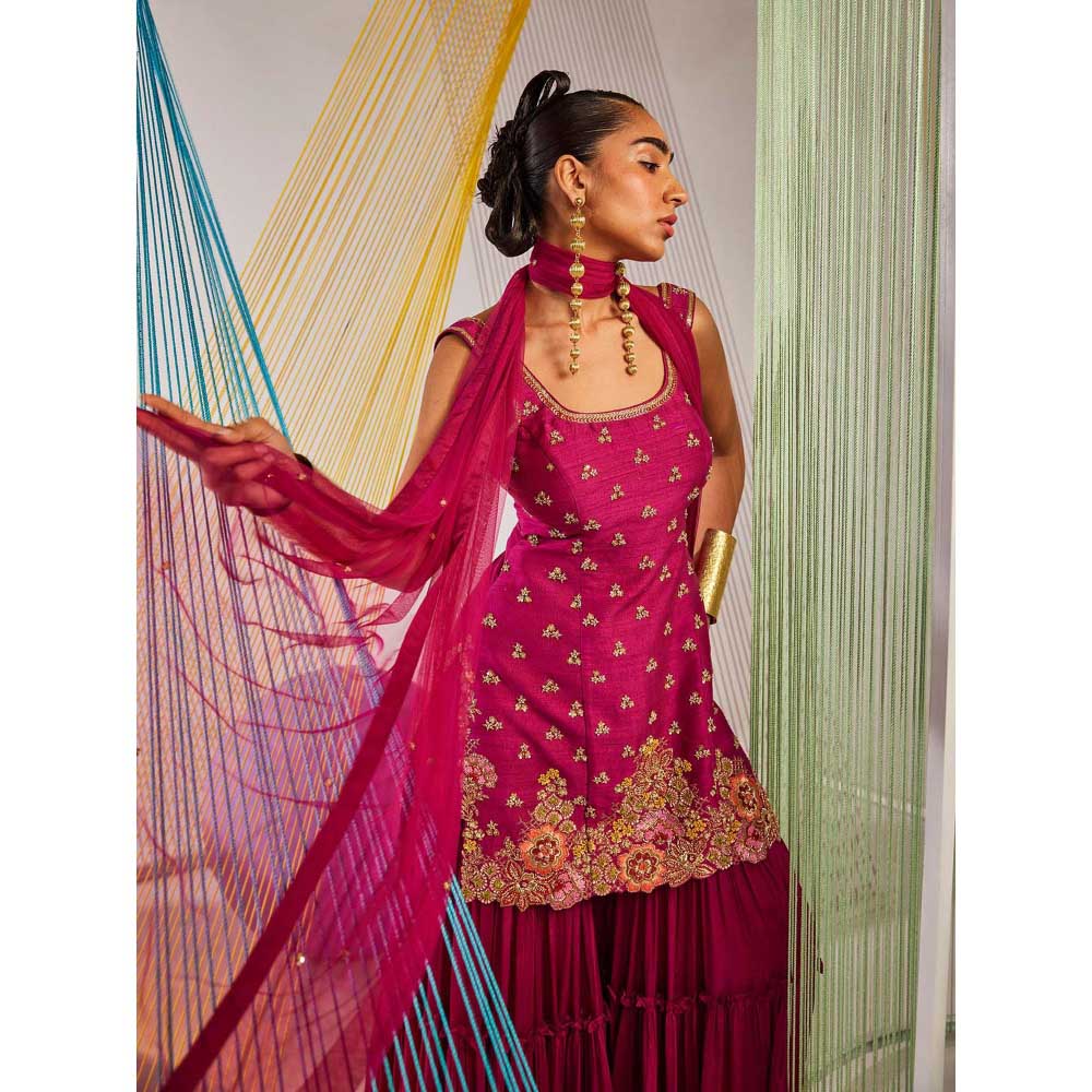 Anu Pellakuru Pink Tarangita Embroidered Kurta with Sharara and Dupatta (Set of 3)