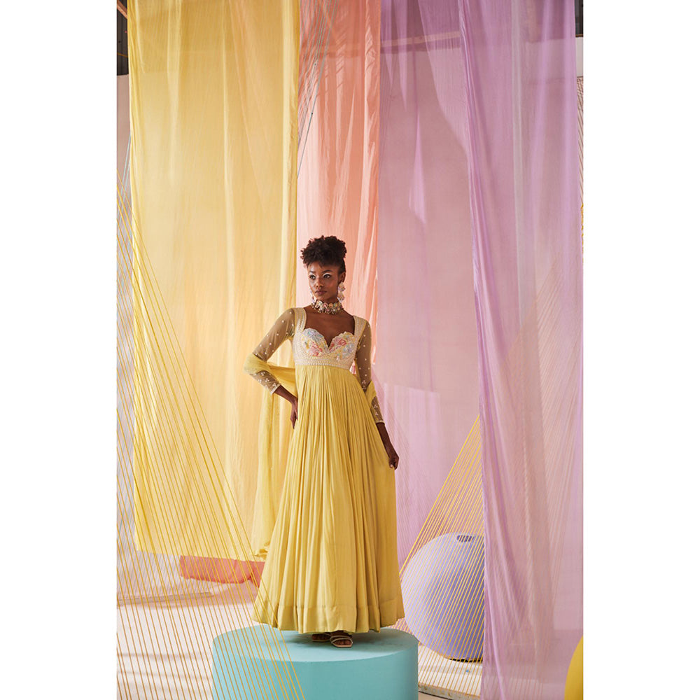 Anu Pellakuru Yellow Iris Embroidered Anarkali and Dupatta (Set of 2)