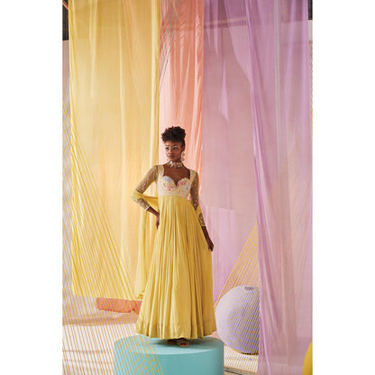 Anu Pellakuru Yellow Iris Embroidered Anarkali and Dupatta (Set of 2)