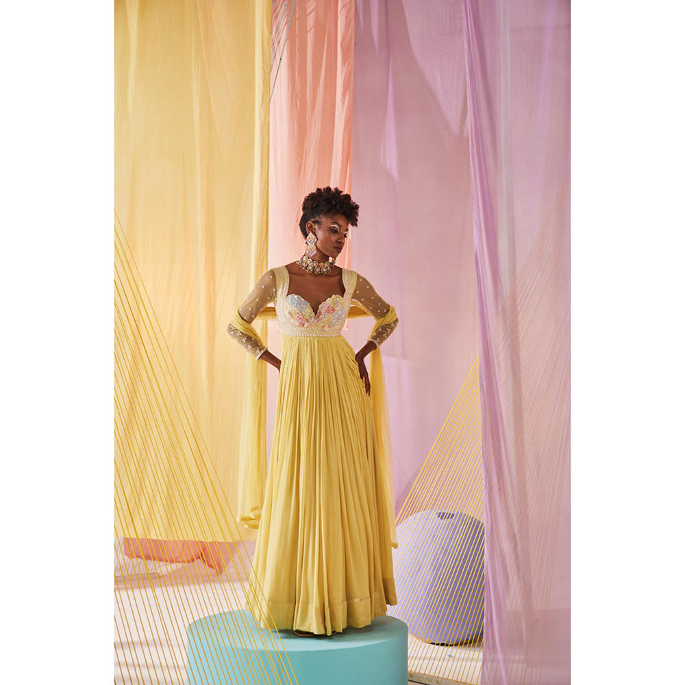 Anu Pellakuru Yellow Iris Embroidered Anarkali and Dupatta (Set of 2)