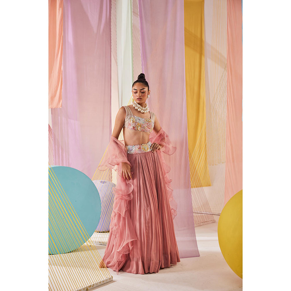Anu Pellakuru Eesha Embroidered Lehenga with Blouse and Dupatta (Set of 3)