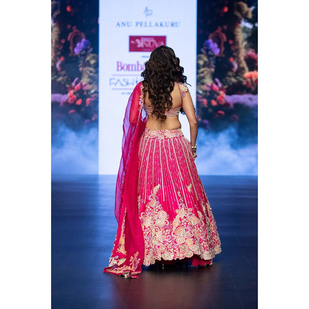 Anu Pellakuru Pink Raha Embroidered Lehenga with Blouse and Dupatta (Set of 3)