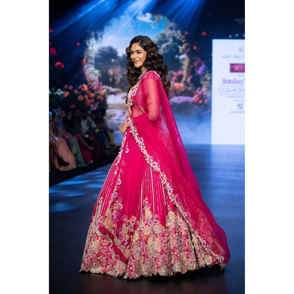 Anu Pellakuru Pink Raha Embroidered Lehenga with Blouse and Dupatta (Set of 3)