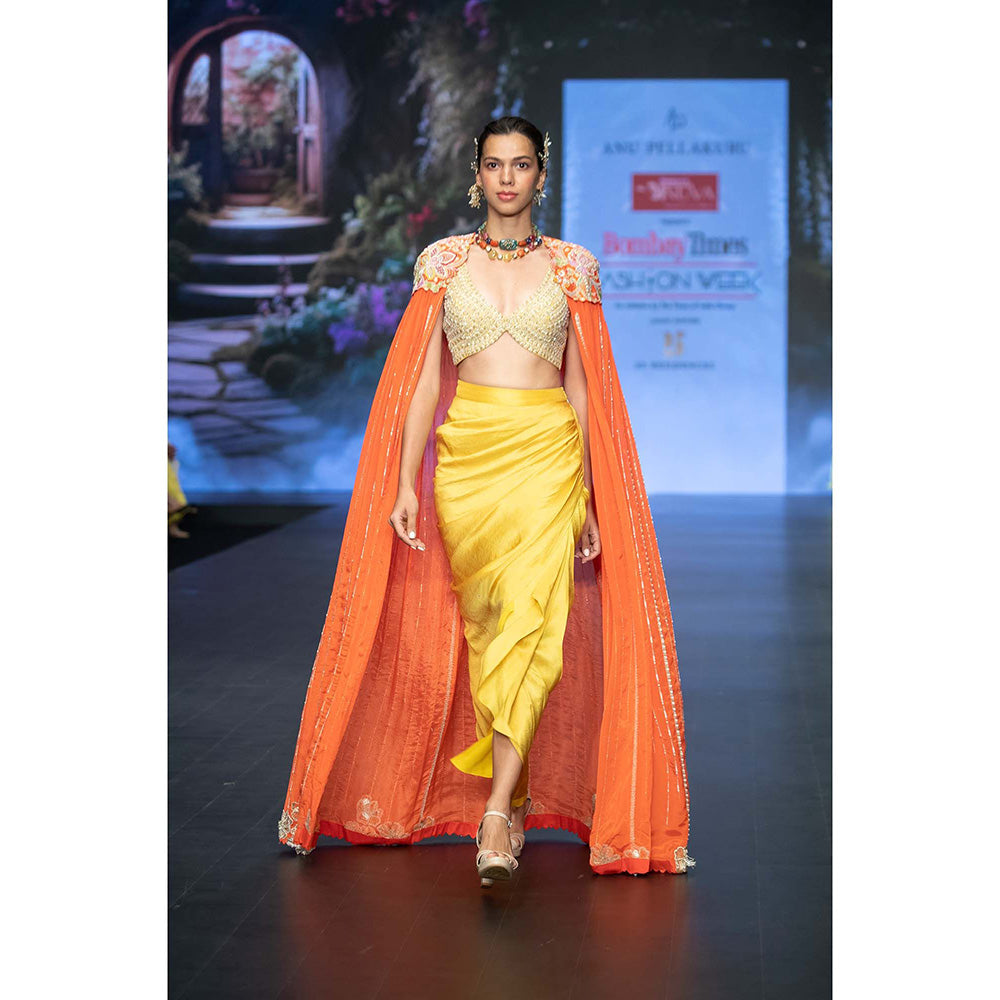 Anu Pellakuru Reva Embroidered Cape and Draped Skirt with Stitched Blouse (Set of 3)