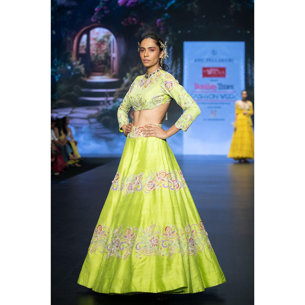 Anu Pellakuru Green Rucya Embroidered Lehenga with Blouse (Set of 2)