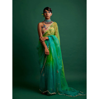 Apeksha Jain Label Green Ombre Embellished Saree with Stitched Blouse