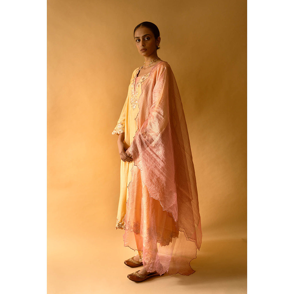 Apeksha Jain Label Yellow Anarkali with Pant and Dupatta (Set of 3)