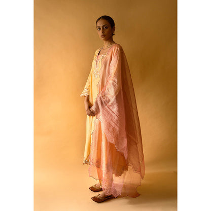 Apeksha Jain Label Yellow Anarkali with Pant and Dupatta (Set of 3)