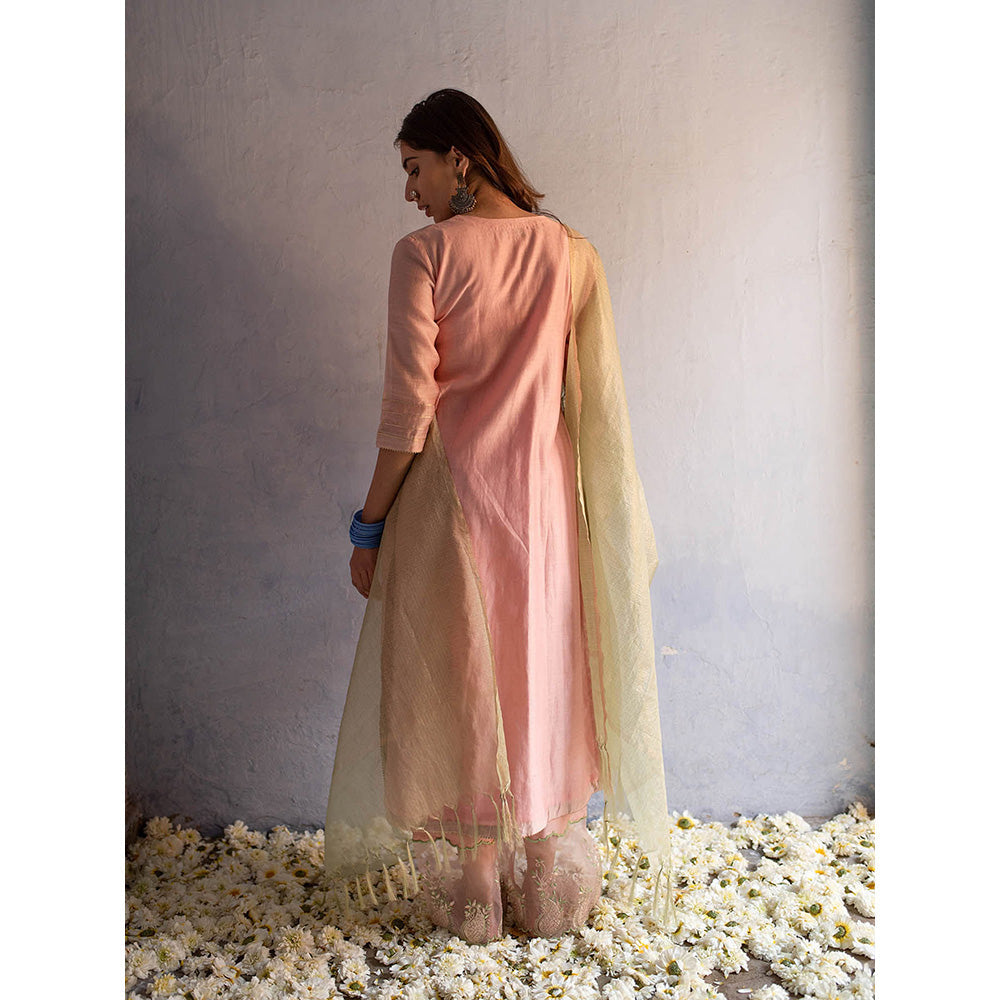 Apeksha Jain Label Powder Pink Anarkali with Pant and Dupatta (Set of 3)