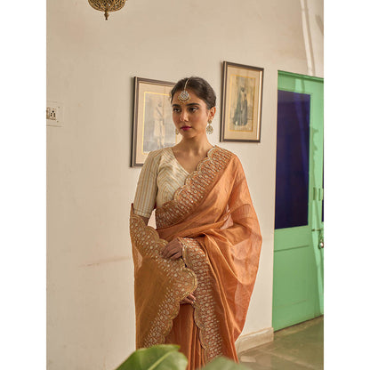 Apeksha Jain Label Brown Sunehra Tissue Saree with Stitched Blouse
