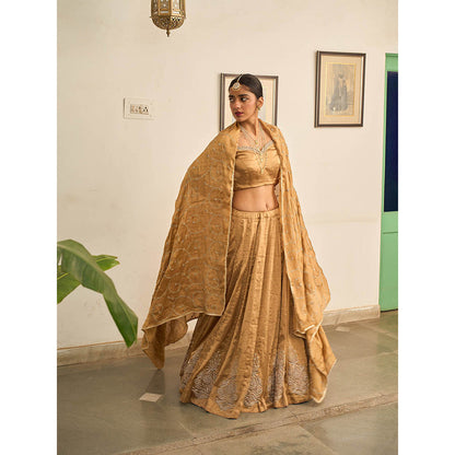 Apeksha Jain Label Gold Suvarna Lehenga with Blouse and Dupatta (Set of 3)