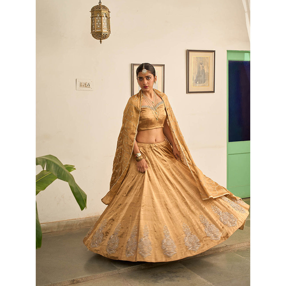 Apeksha Jain Label Gold Suvarna Lehenga with Blouse and Dupatta (Set of 3)