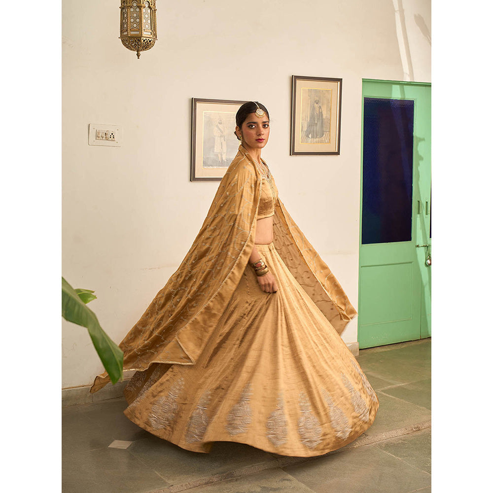 Apeksha Jain Label Gold Suvarna Lehenga with Blouse and Dupatta (Set of 3)