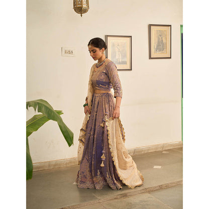 Apeksha Jain Label Purple Jamuni Lehenga with Blouse and Dupatta (Set of 3)