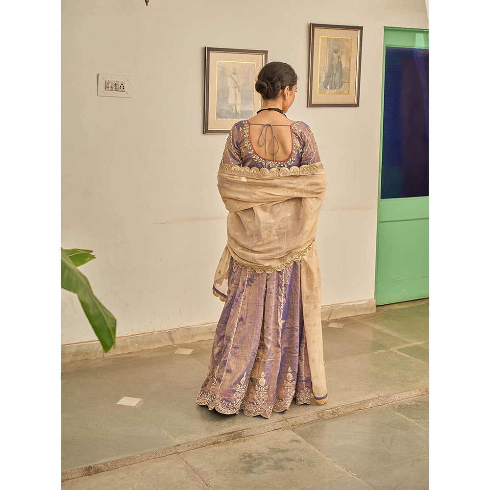 Apeksha Jain Label Purple Jamuni Lehenga with Blouse and Dupatta (Set of 3)