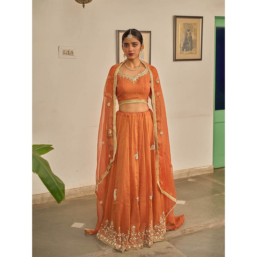 Apeksha Jain Label Orange Malhar Lehenga with Blouse and Dupatta (Set of 3)