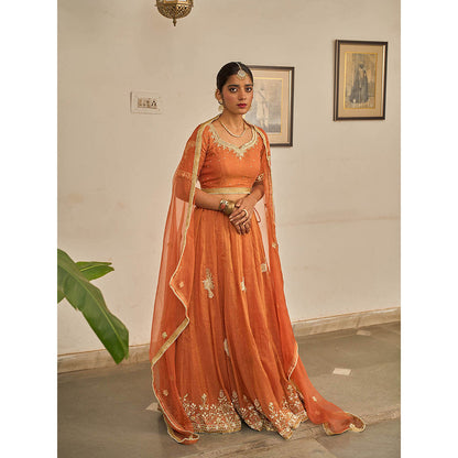 Apeksha Jain Label Orange Malhar Lehenga with Blouse and Dupatta (Set of 3)