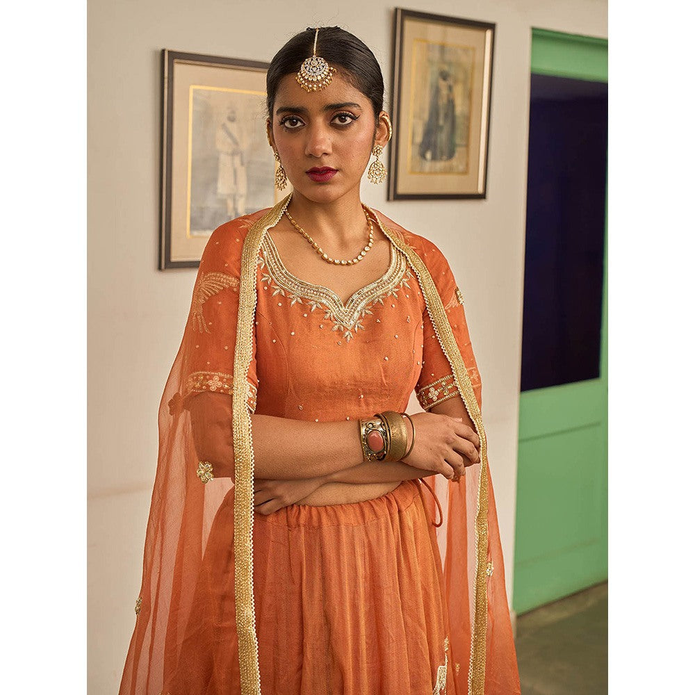Apeksha Jain Label Orange Malhar Lehenga with Blouse and Dupatta (Set of 3)