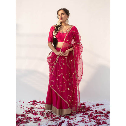 Apeksha Jain Label Rani Pink Lehenga with Blouse and Dupatta (Set of 3)