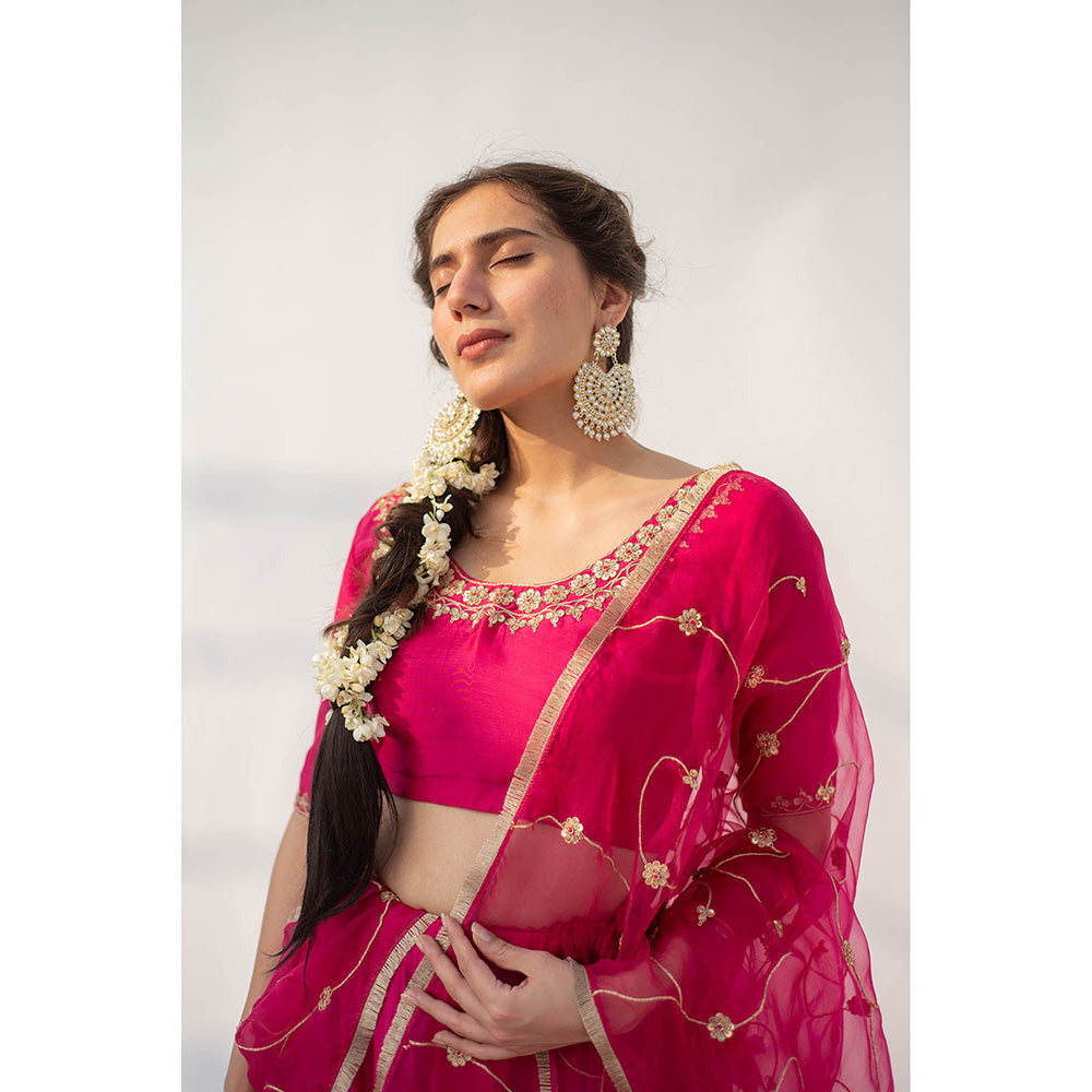Apeksha Jain Label Rani Pink Lehenga with Blouse and Dupatta (Set of 3)