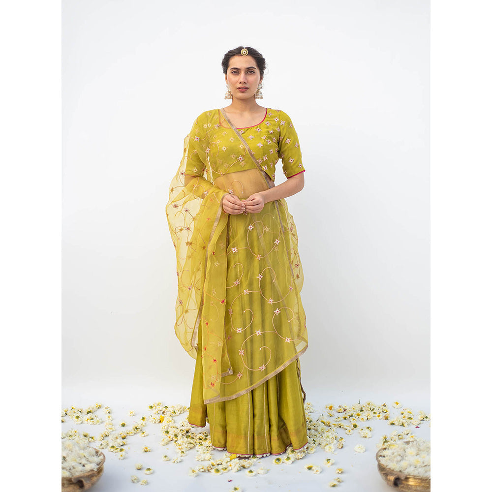 Apeksha Jain Label Green Lehenga with Blouse and Dupatta (Set of 3)