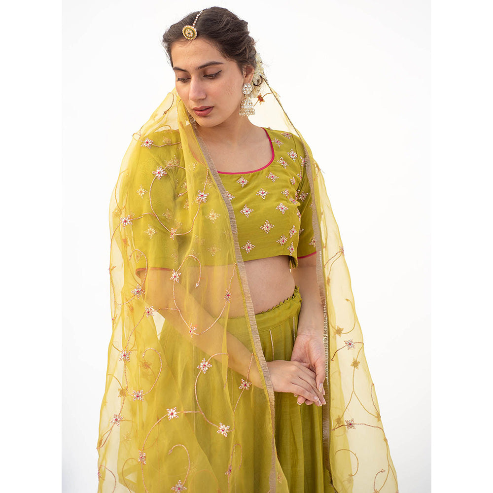 Apeksha Jain Label Green Lehenga with Blouse and Dupatta (Set of 3)