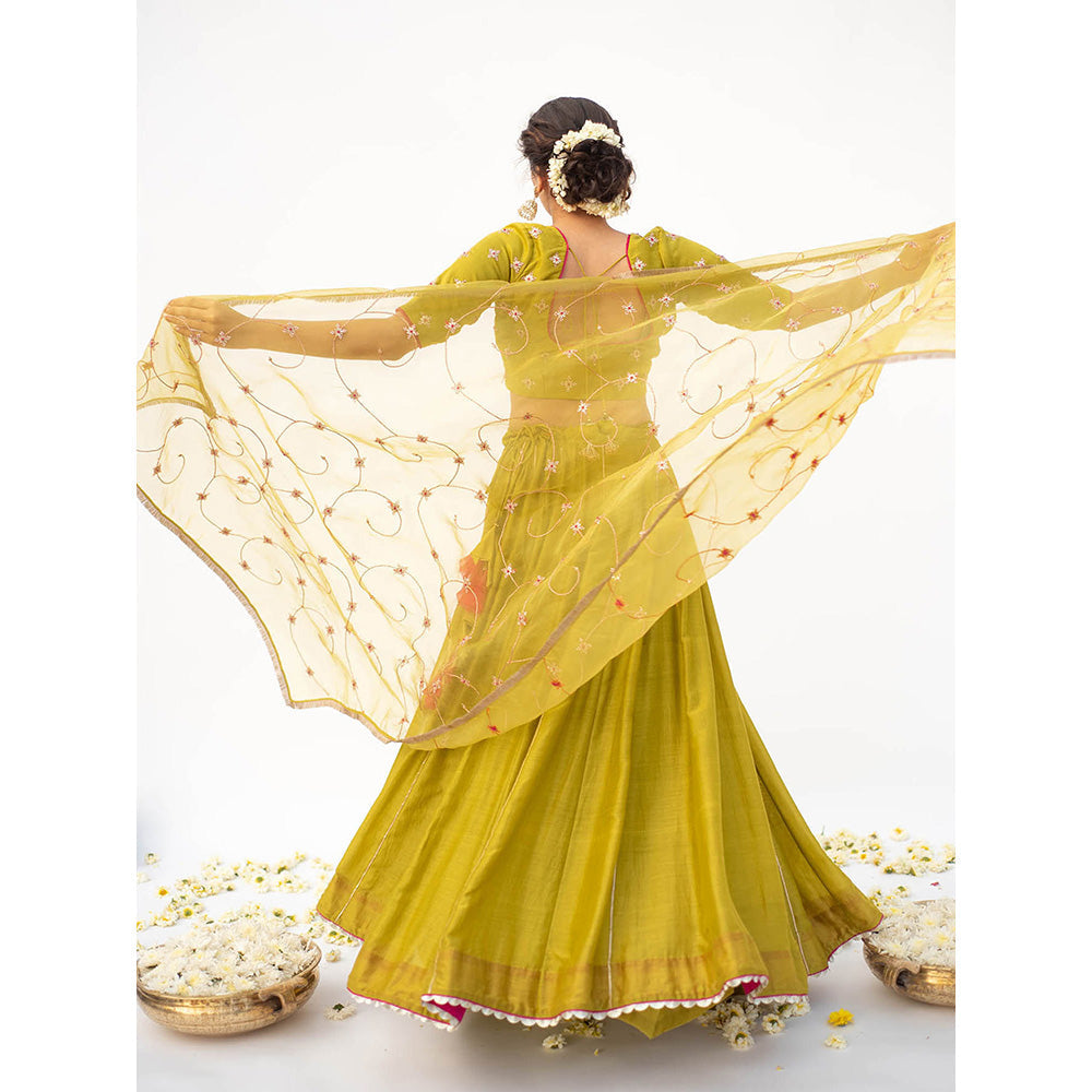 Apeksha Jain Label Green Lehenga with Blouse and Dupatta (Set of 3)