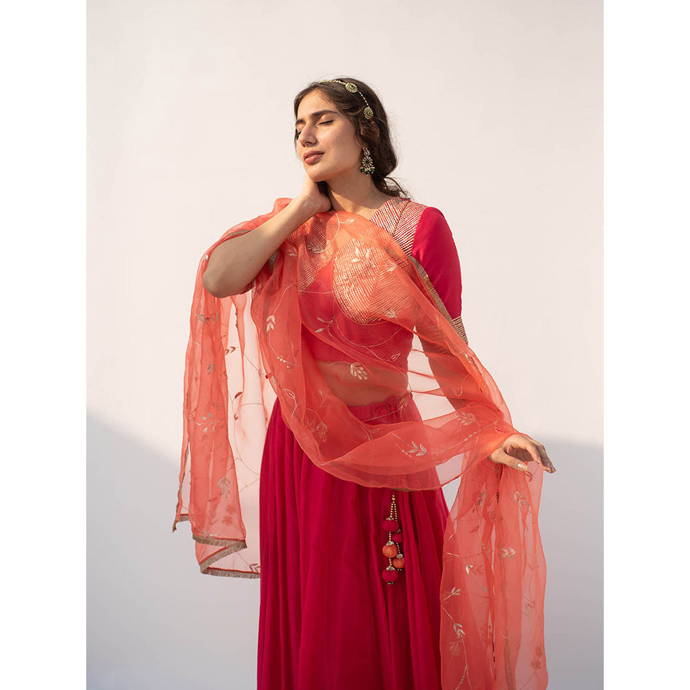 Apeksha Jain Label Red Lehenga with Blouse and Dupatta (Set of 3)