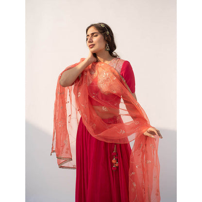 Apeksha Jain Label Red Lehenga with Blouse and Dupatta (Set of 3)