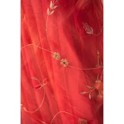 Apeksha Jain Label Red Lehenga with Blouse and Dupatta (Set of 3)