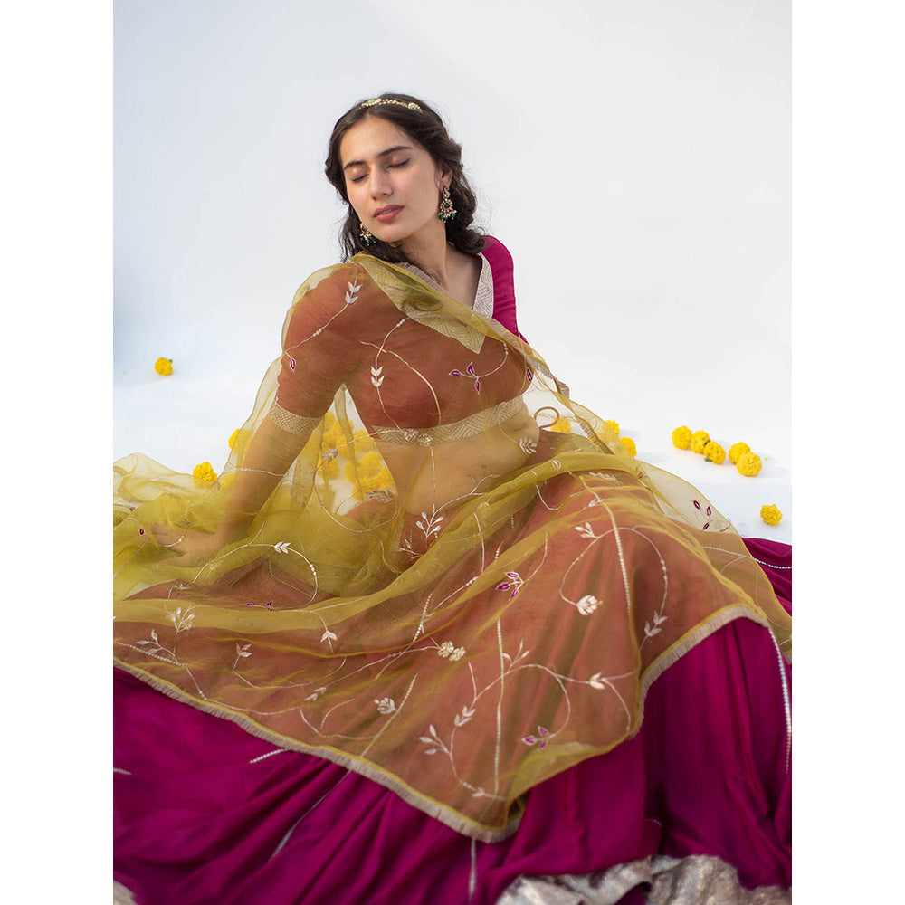 Apeksha Jain Label Wine Lehenga with Blouse and Dupatta (Set of 3)