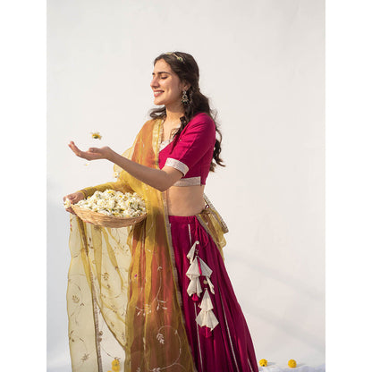 Apeksha Jain Label Wine Lehenga with Blouse and Dupatta (Set of 3)