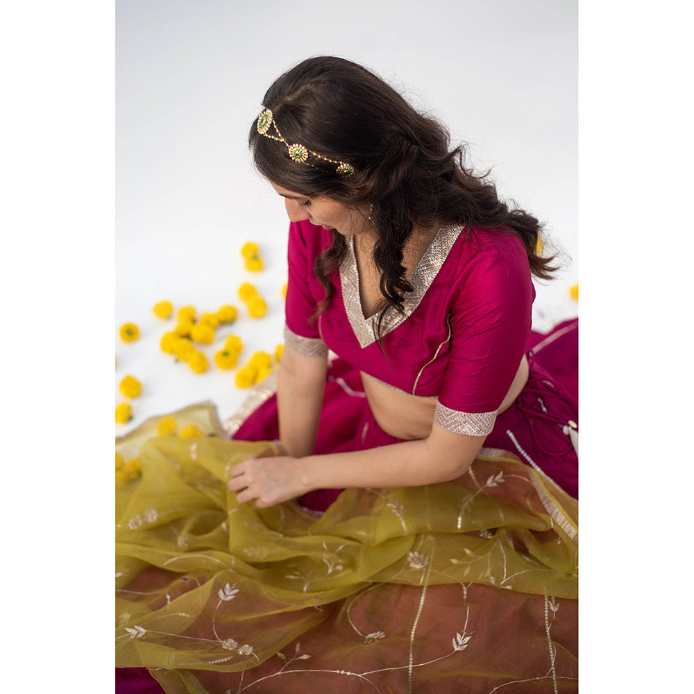 Apeksha Jain Label Wine Lehenga with Blouse and Dupatta (Set of 3)