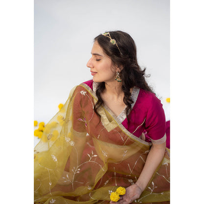 Apeksha Jain Label Wine Lehenga with Blouse and Dupatta (Set of 3)