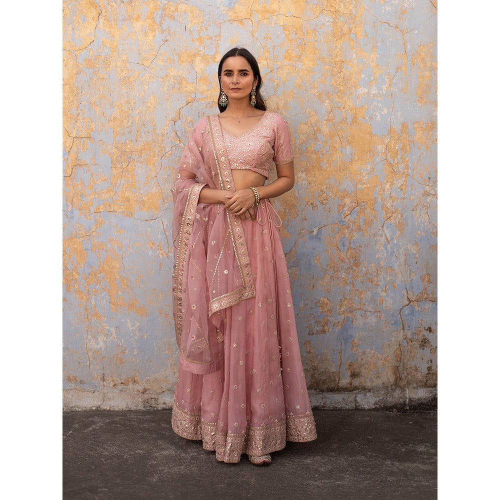 Apeksha Jain Label Pink Lehenga with Blouse and Dupatta (Set of 3)