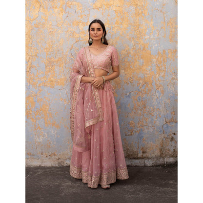 Apeksha Jain Label Pink Lehenga with Blouse and Dupatta (Set of 3)