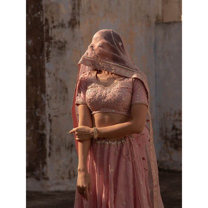 Apeksha Jain Label Pink Lehenga with Blouse and Dupatta (Set of 3)