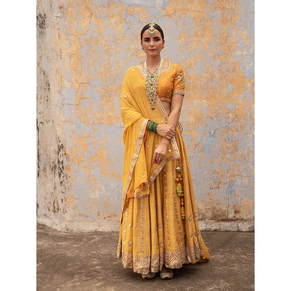 Apeksha Jain Label Mustard Lehenga with Blouse and Dupatta (Set of 3)