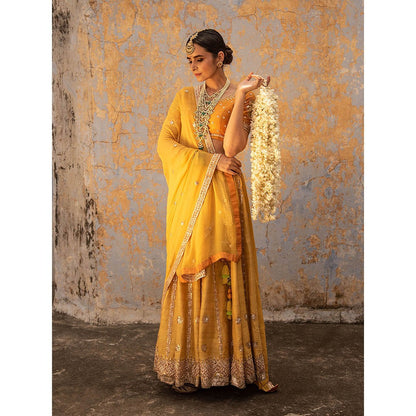 Apeksha Jain Label Mustard Lehenga with Blouse and Dupatta (Set of 3)