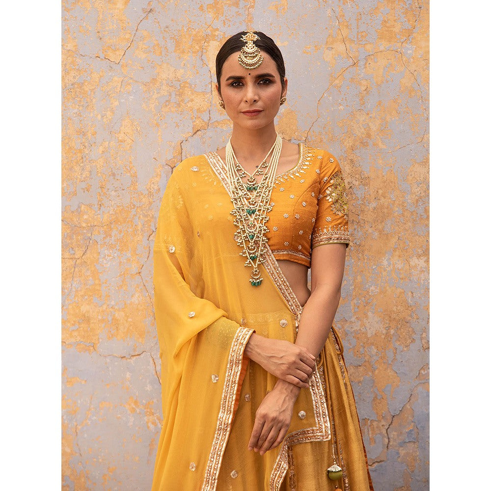 Apeksha Jain Label Mustard Lehenga with Blouse and Dupatta (Set of 3)