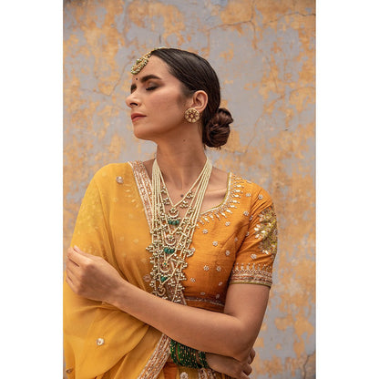 Apeksha Jain Label Mustard Lehenga with Blouse and Dupatta (Set of 3)