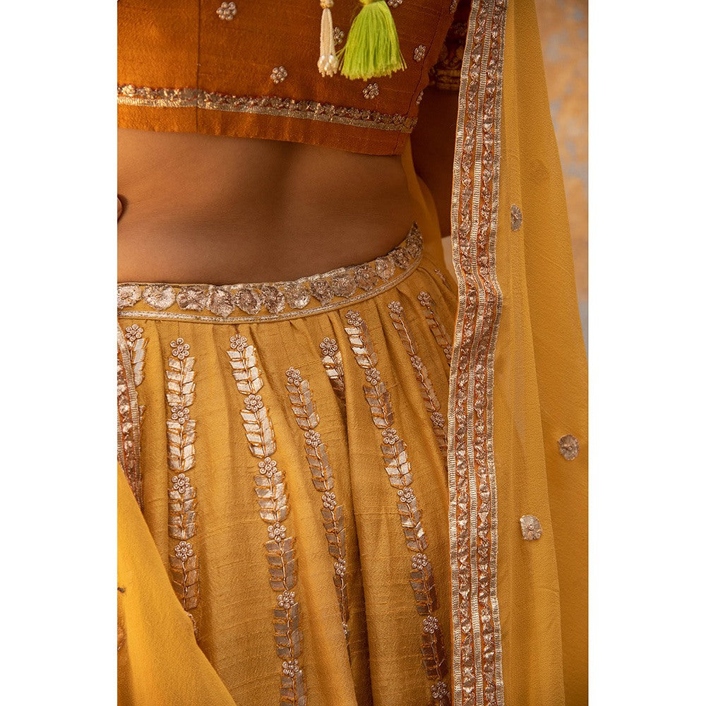 Apeksha Jain Label Mustard Lehenga with Blouse and Dupatta (Set of 3)