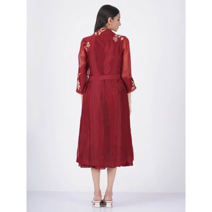 ARCVSH by Pallavi Singh Organza Jacket with Solid Overlap Dress (Set of 2)
