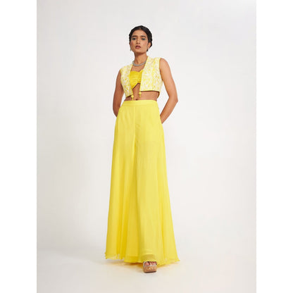 Asaga Clara Lemon Embroidered Silk Bustier with Sharara and Jacket (Set of 4)